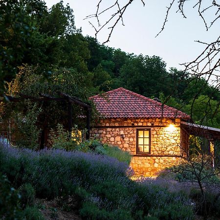 Ktima Bellou Agios Dimitrios  المظهر الخارجي الصورة