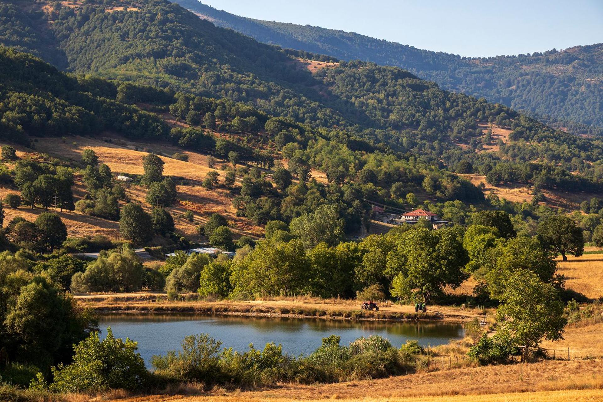 Ktima Bellou Agios Dimitrios  المظهر الخارجي الصورة